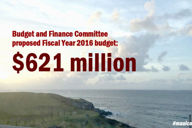 FY 2016 budget