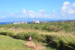 Site of West Maui hospital